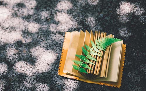 自考與成考有哪些區(qū)別？