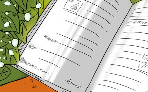 自考應(yīng)該如何復(fù)習(xí)呢？