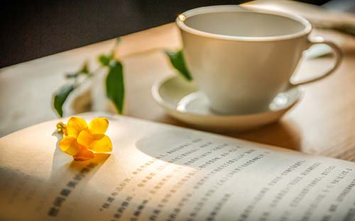 溫州個人自考培訓機構(gòu)哪家好？