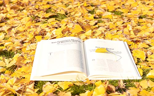 蘇州成人高考有哪些內(nèi)容？