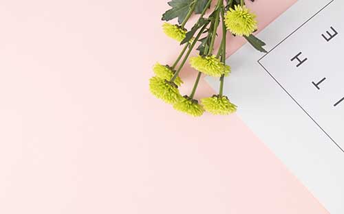 成人高考藝術專業(yè)有嗎？