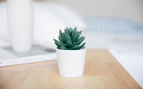 成人高考有入學(xué)考試嗎？