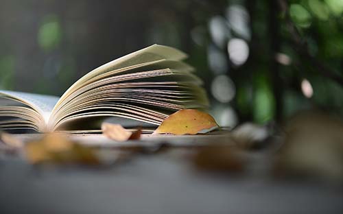 成人高考的學(xué)費在入學(xué)時就要一次性交齊嗎？