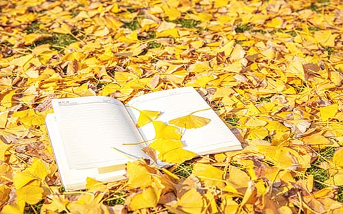 每年都會有成人高考嗎？