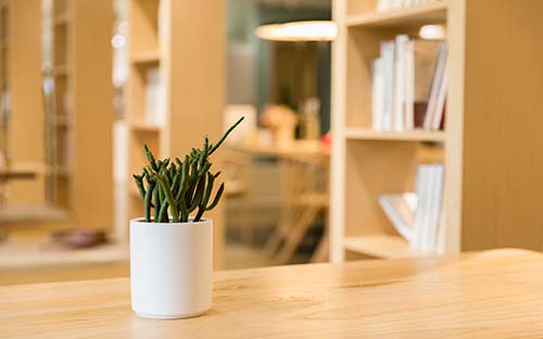 成人高考考試科目有什么？