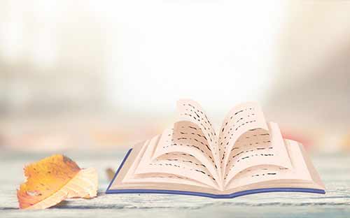 成人高考中途退學(xué)也可以拿證嗎？