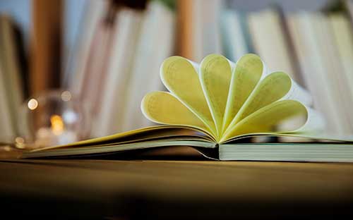 自考專升本該怎么學習課程知識點？