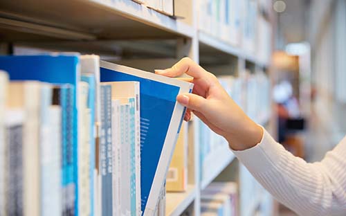 山東成人高考在哪查成績？