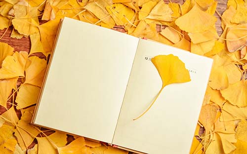 上海成人高考專升本難嗎？