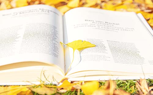 自考畢業(yè)生可以享有什么待遇?