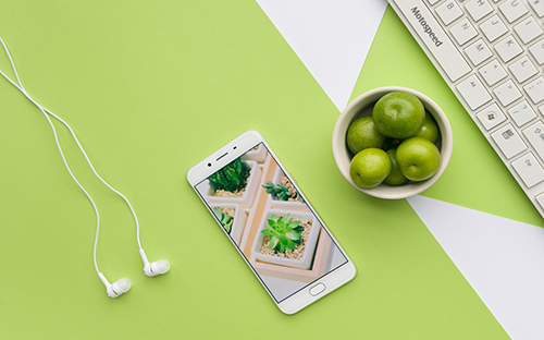 湖南成人高考會(huì)計(jì)專業(yè)考試科目？