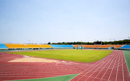 深圳自考專業(yè)有哪些類型？