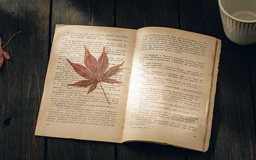?為什么自考行政管理是熱門(mén)專(zhuān)業(yè)？