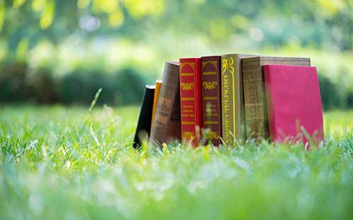 成人高考網(wǎng)上報(bào)名時(shí)間在多久？