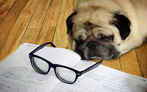 自學(xué)考試通過率是怎么樣？