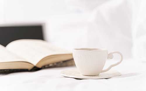 青島成人高考專升本專業(yè)有哪些？