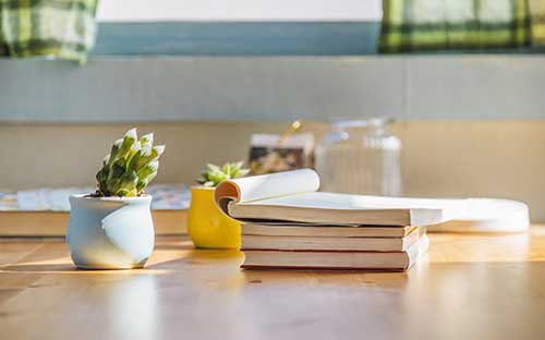 成人高考學籍怎么查？什么時候能查到？