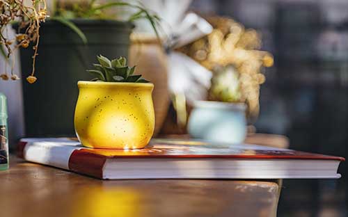 自考報(bào)名有哪些條件？考試大綱需要參考嗎？