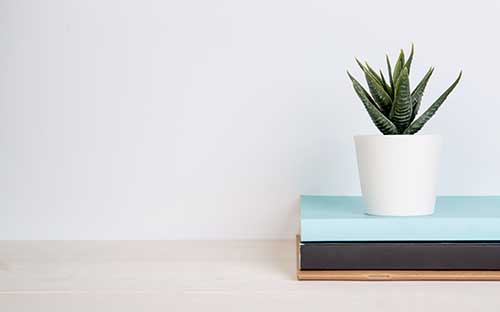 紹興專業(yè)成人學(xué)歷提升去哪里報名？自考一次報幾門科目比較合適？