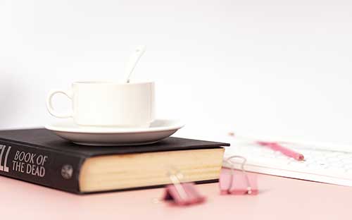 滄州成人高考有哪些專業(yè)？怎么備考？