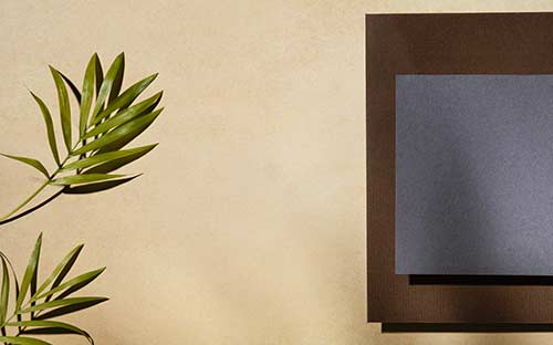 提升學(xué)歷快速方式是哪種？先考專業(yè)課還是公共課？