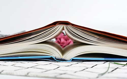 多倫多電影學(xué)院有哪些專業(yè)