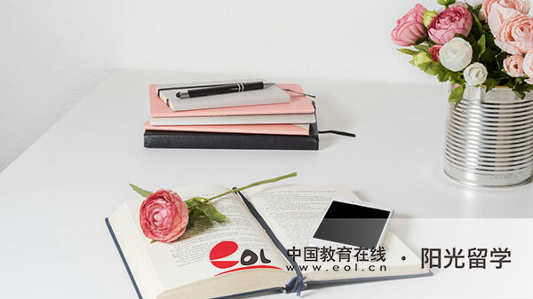 南京藝術(shù)學(xué)院2+2中外合作國際本科費(fèi)用多少一年